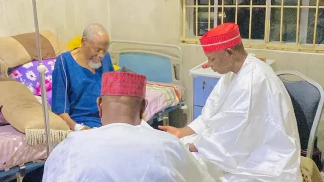 Kano Special Adviser