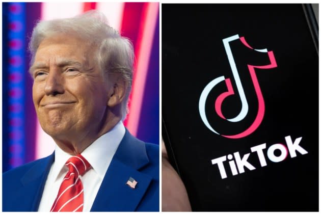 TikTok 90-day reprieve from ban