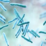 preventive measures for Tuberculosis, Tuberculosis outbreak hit Kansas