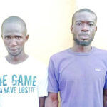 Foundation advocates for freedom of