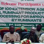small ruminant production