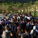 migrant appointment app