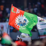 Labour Party bigwigs who left, Factional Obidient movement losing relevance — Meche Oswald