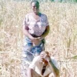 ‘We’ve lost interest’: Farmers in the face of security challenges in Plateau