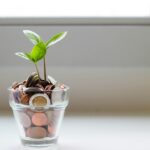 Financial Freedom