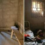 Illegal clinic shut down