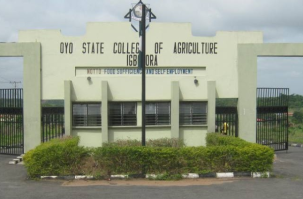 OYSCOHEST matriculates 802 students