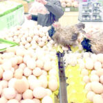 Farmers seek sustainability of restrictions on importation