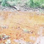Shell oil spill affecting food
