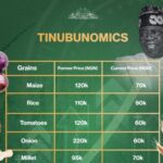 'Tinubunomics' impacting Nigerians