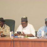 FCT area councils