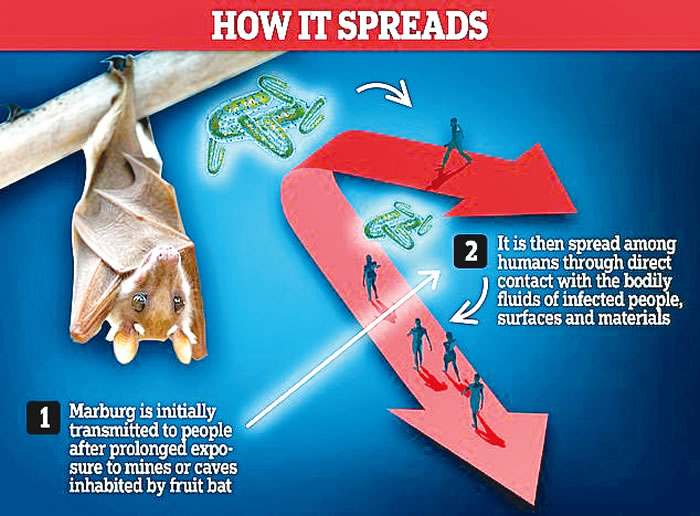 Nine dead in new outbreak of ‘eye-bleeding’ virus