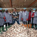 Kogi L-PRES begins five-day training on high-quality cassava peel utilisation