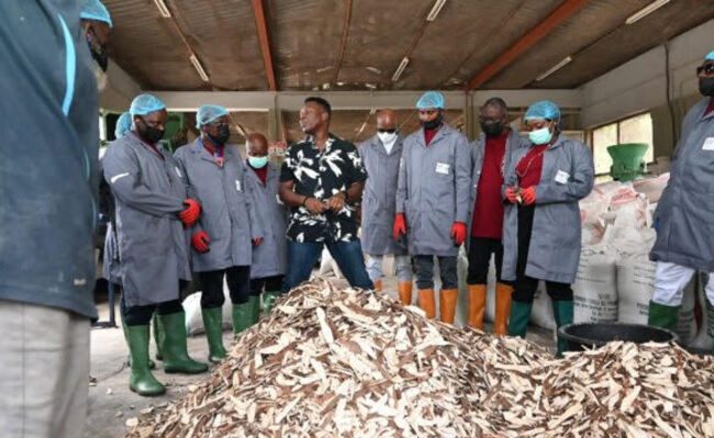 Kogi L-PRES begins five-day training on high-quality cassava peel utilisation