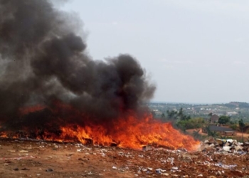 NAFDAC destroys fake drugs worth N100trn