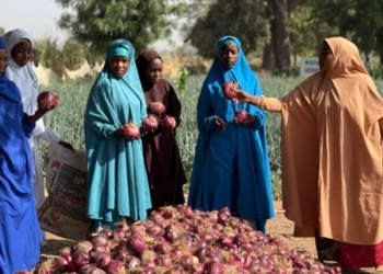 WOFAN empowers 300 PWDs, women farmers in Kano