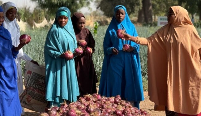 WOFAN empowers 300 PWDs, women farmers in Kano