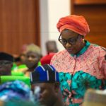 Armed herdsmen have taken over Ogunmakin — Rep Akande-Sadipe raises alarm
