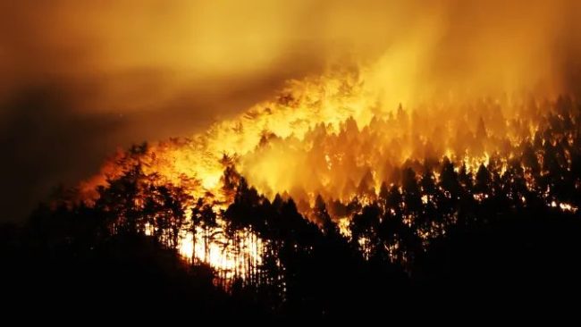 Japan battles massive forest fire as hundreds evacuate