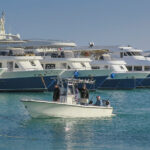 Six dead and dozens rescued as tourist submarine sinks off in Egypt