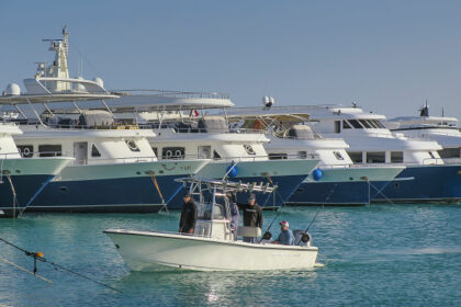 Six dead and dozens rescued as tourist submarine sinks off in Egypt