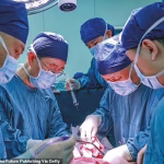 World’s first pig-to-human liver transplant successful