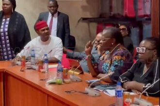 insults with Ezekwesili — Nwoebonyi