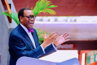 Build industries to create more jobs, AfDB President advocates