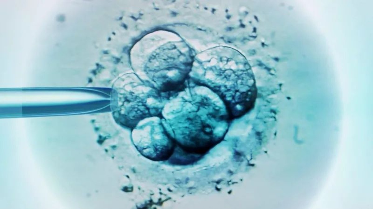 Embryo mixed up baby Australia