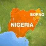 BORNO map
