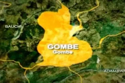 Gombe: Scores killed, injured in early morning auto crash
