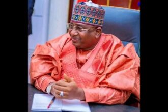 Kebbi gov probes KAEDCO
