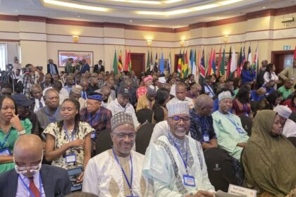 Education Africa's green economy