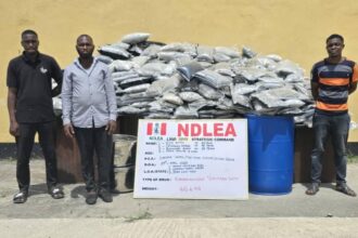 NDLEA raids Lagos hotel, seizes illicit drugs worth N1.042bn
