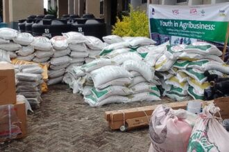 IITA, YAS empower young farmers with multi-million naira agribusiness support