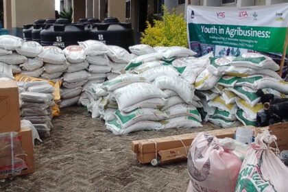 IITA, YAS empower young farmers with multi-million naira agribusiness support