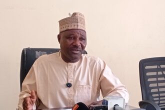 Borno seeks social media regulation to curb insecurity