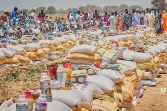 dry season rice production