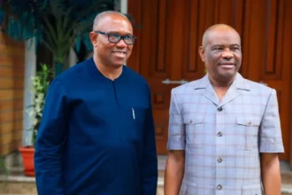 Why I didn’t support Peter Obi during 2023 presidential election — Wike