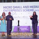 matching fund for MSMEs