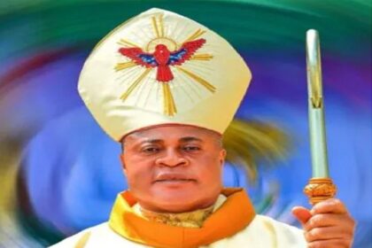 Okpaleke 16 African Cardinals among electors set to elect