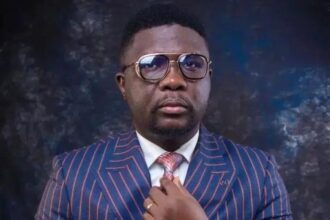 Tinubu fix Nigeria - Seyi Law