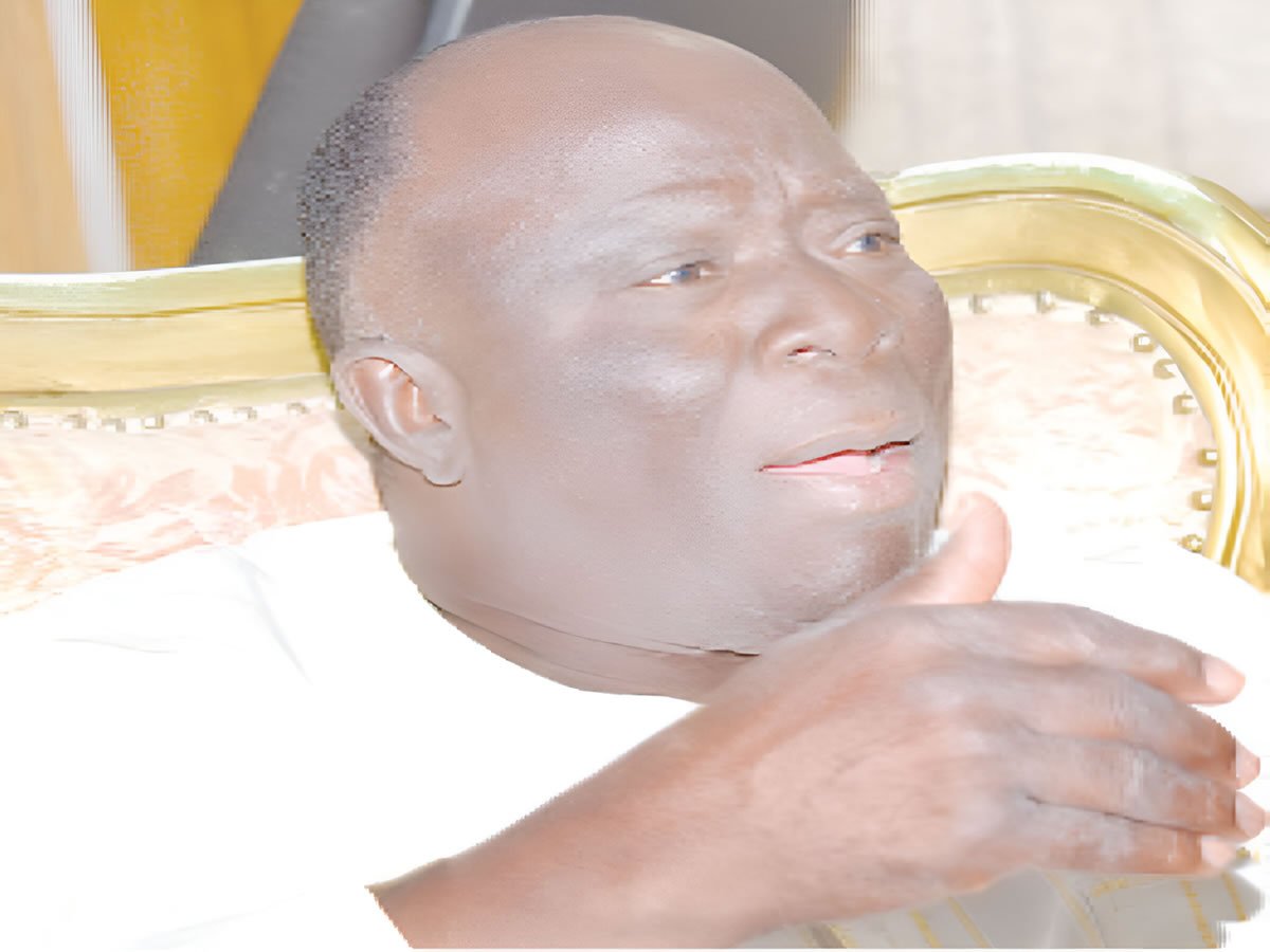 Why Awolowo organised send-off party for me