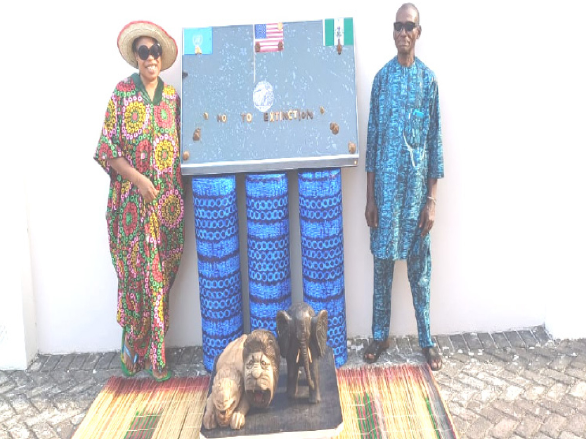 Olapeju Olayemi takes thorn carving art