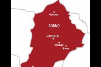 Borno community