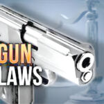 What the law says on gun