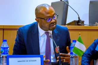 Visa overstayers to pay $15 fine daily, The Federal Government has declared Friday, April 18, and Monday, April 21, as public holidays to mark Good Friday and Easter Monday celebrations., Border control: FG set to establish harmonised centre to check immigration, document fraud, Over 1,000 foreigners get Nigerian citizenship between 2017 to 2023
