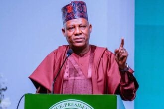 How Nigeria’s federalism can function optimally — Shettima, VP Shettima urges RMAFC to drive revenue growth for economic reform