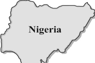 Nigeria’s growth since 1960 If Mohammed Bouzizi was a Nigerian