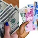 Naira crashes again, JP-Morgan lauds Nigeria’s market-friendly reforms Naira under pressure amid